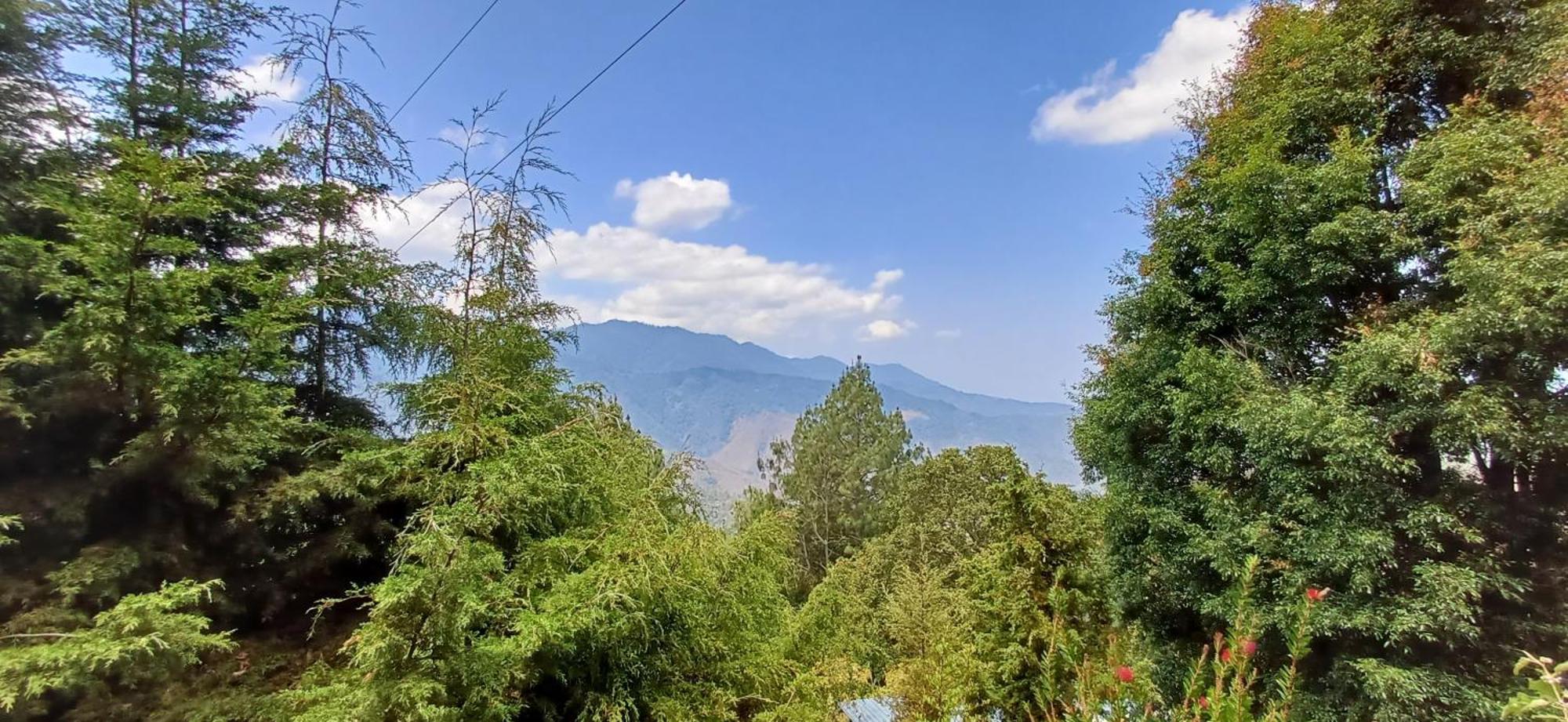San Jose del Pacifico Cabanas Pacifico المظهر الخارجي الصورة